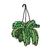 HappyHourPlant.png