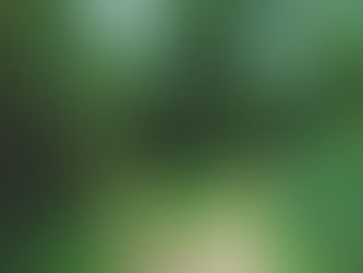 July 20, 2025 Service: Â The Wisdom to Know the Difference