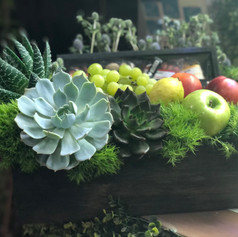 A-F04 frutal