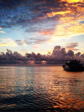 Rugby Special Mini Cruise aboard ÜberVida in Bermuda on November 9 and November 12, 2026, featuring a 1.5-hour cocktail cruise from 5:00 PM to 6:30 PM celebrating Bermuda Rugby Weekend with drinks, music, and scenic ocean views.