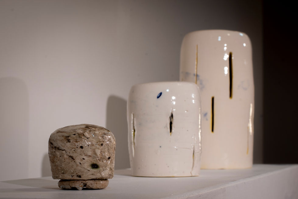 Slowly Changing The Armour to Let the Light In - all rights reserved Pam Foley©