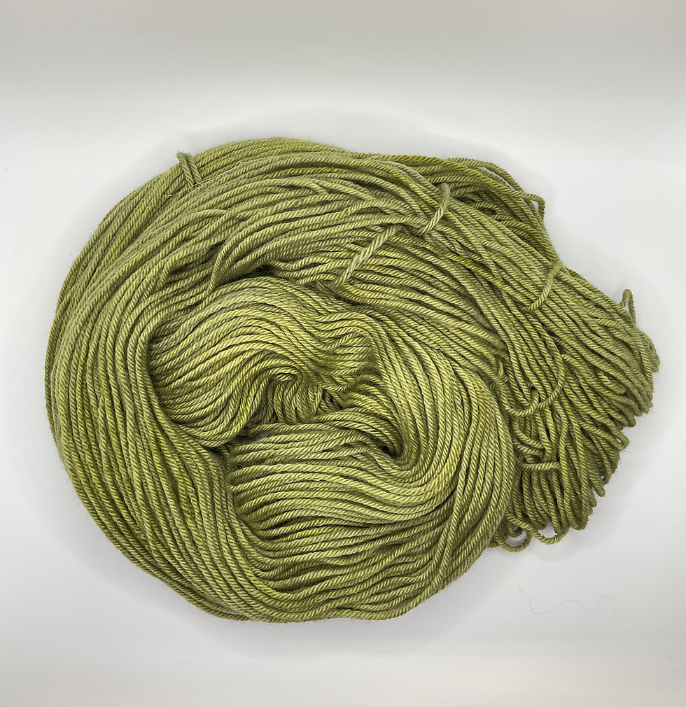 Overview of open skein of worsted weight Merino wool yarn hand dyed color Lichen green.
