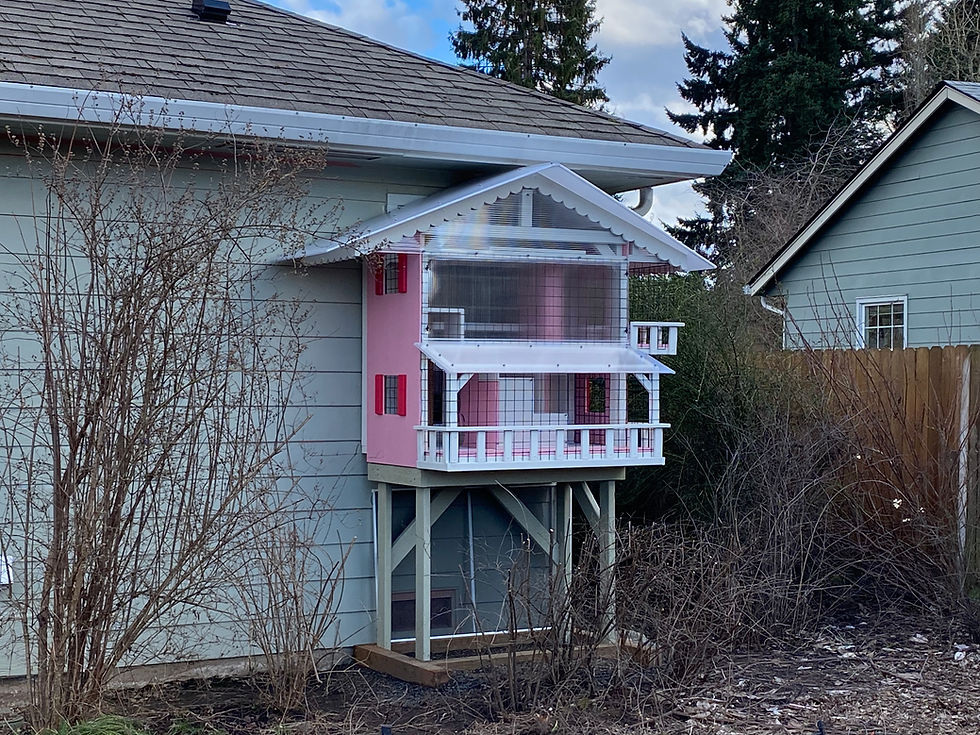 #20: First Window Catio: How'd we do?