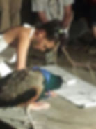 "Three Little Birds"