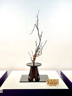 池坊　花と環境　前田華風作品集 池坊 花と環境 前田華風作品集 華道・生け花の歴史とは？歴史