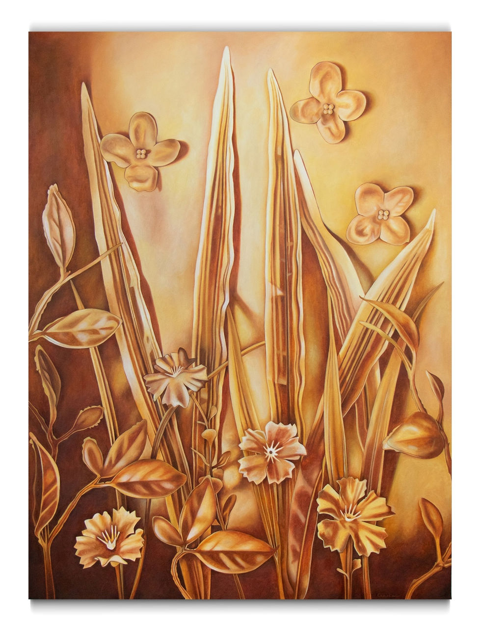 Sweet Williams and Whitestripes, 2025