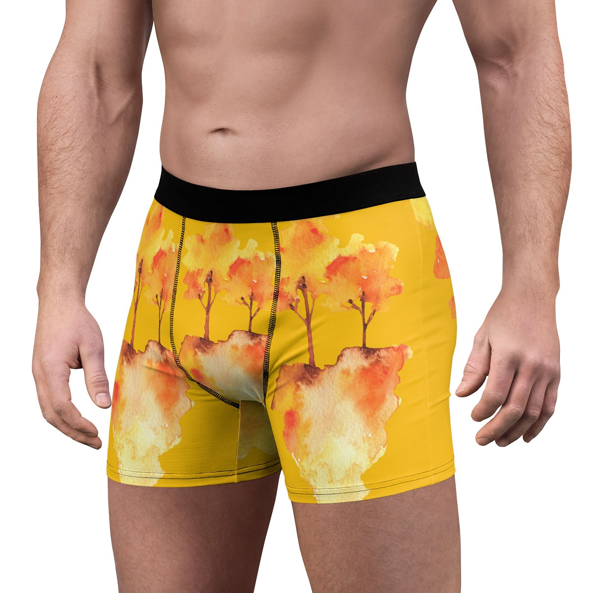 Fall Roots Men's Boxer Briefs