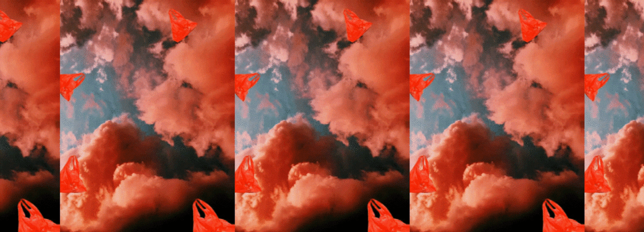 AGUSTINA-HUNEEUS-1 (1).gif
