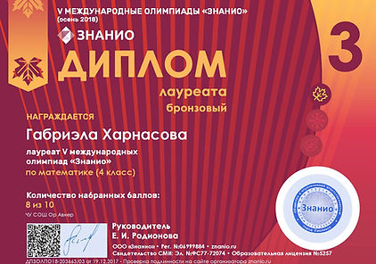 Документ ДП3ОЛПО18-203663_03 (Znanio.ru)