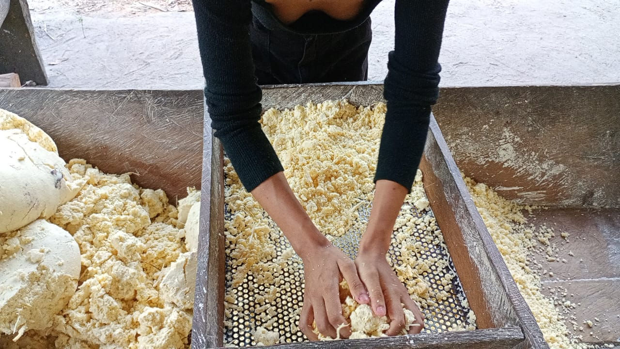 Produções do Novo Paraíso