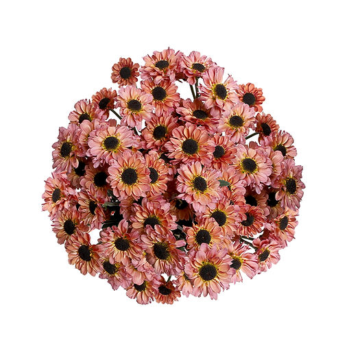 micro-pon-ying-yang-smokey-salmon