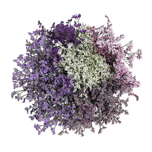 limo-natural-assorted