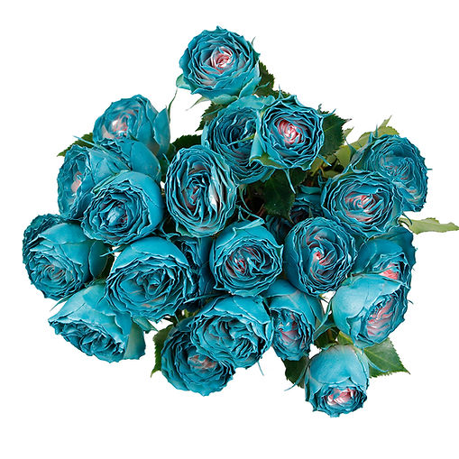 bellalinda-metallic-teal