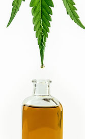 AdobeStock_286956128-2.jpeg