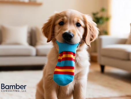 The Secret to an Engaging Newsletter Your Audience Will Actually Read