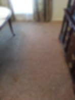 Pet Stains - After