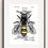 Thumbnail: Buzz: Queen
