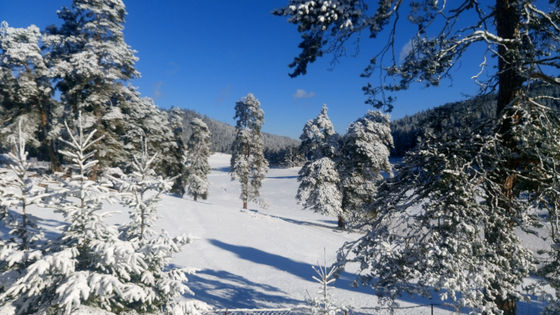 Разходка близо до Велинград