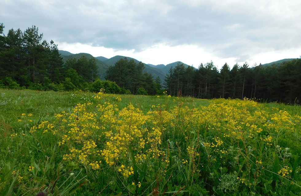 DSCN0284.JPG
