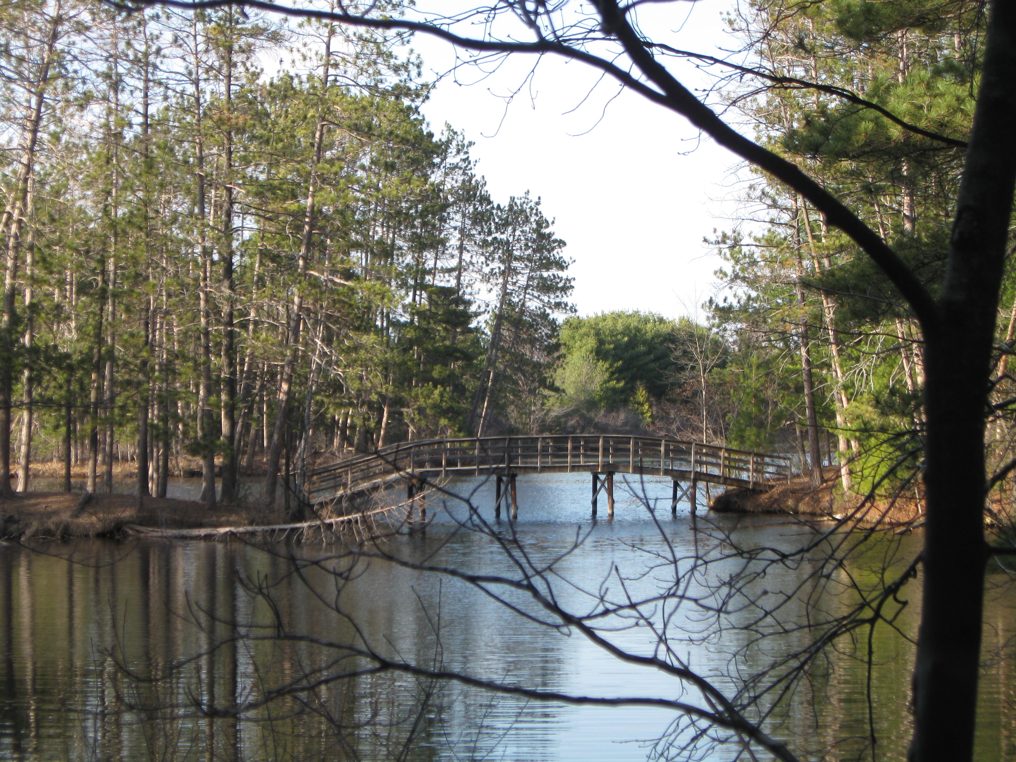 Bridge-Bradley Park