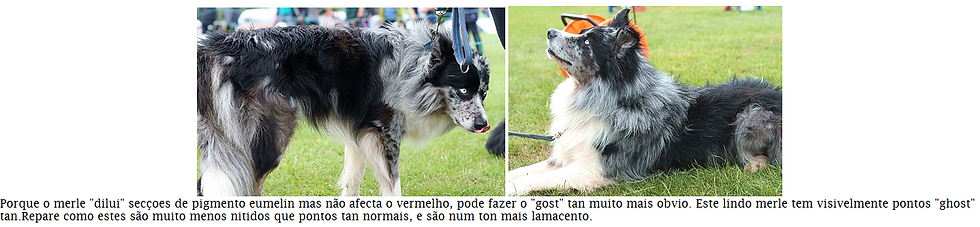 Genética, Cor, Cão, Padõres, Pêlo