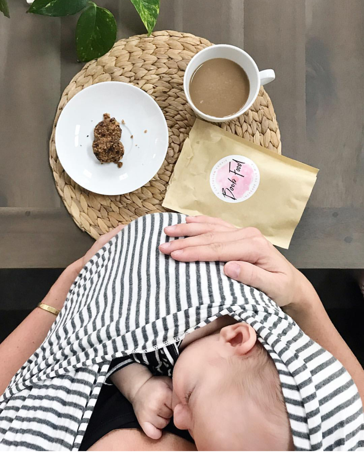 Boob Food United States lactation cookies