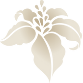youth_beauty_blume_farbverlauf.png