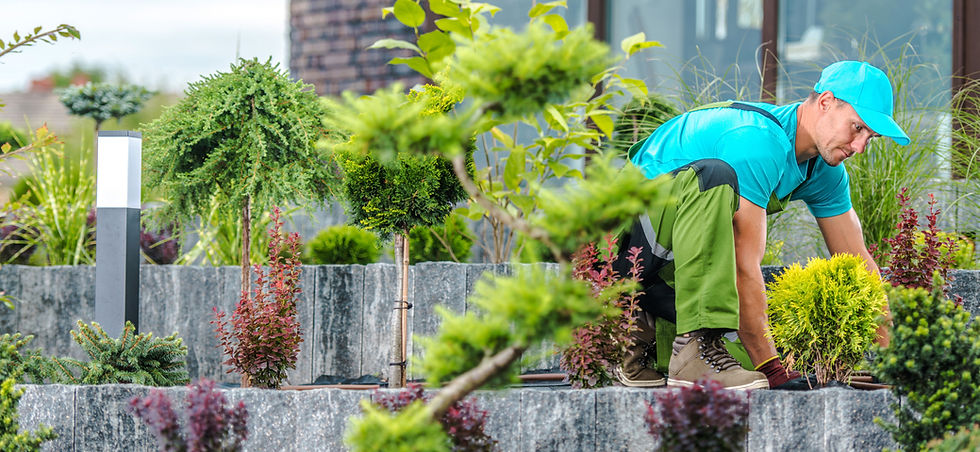 calor extremo, riesgos altas temperaturas, comunidad de propietarios, prevencion de riesgos frente al calor, riesgos verano