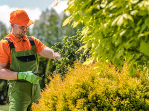 Trabajo en jardines