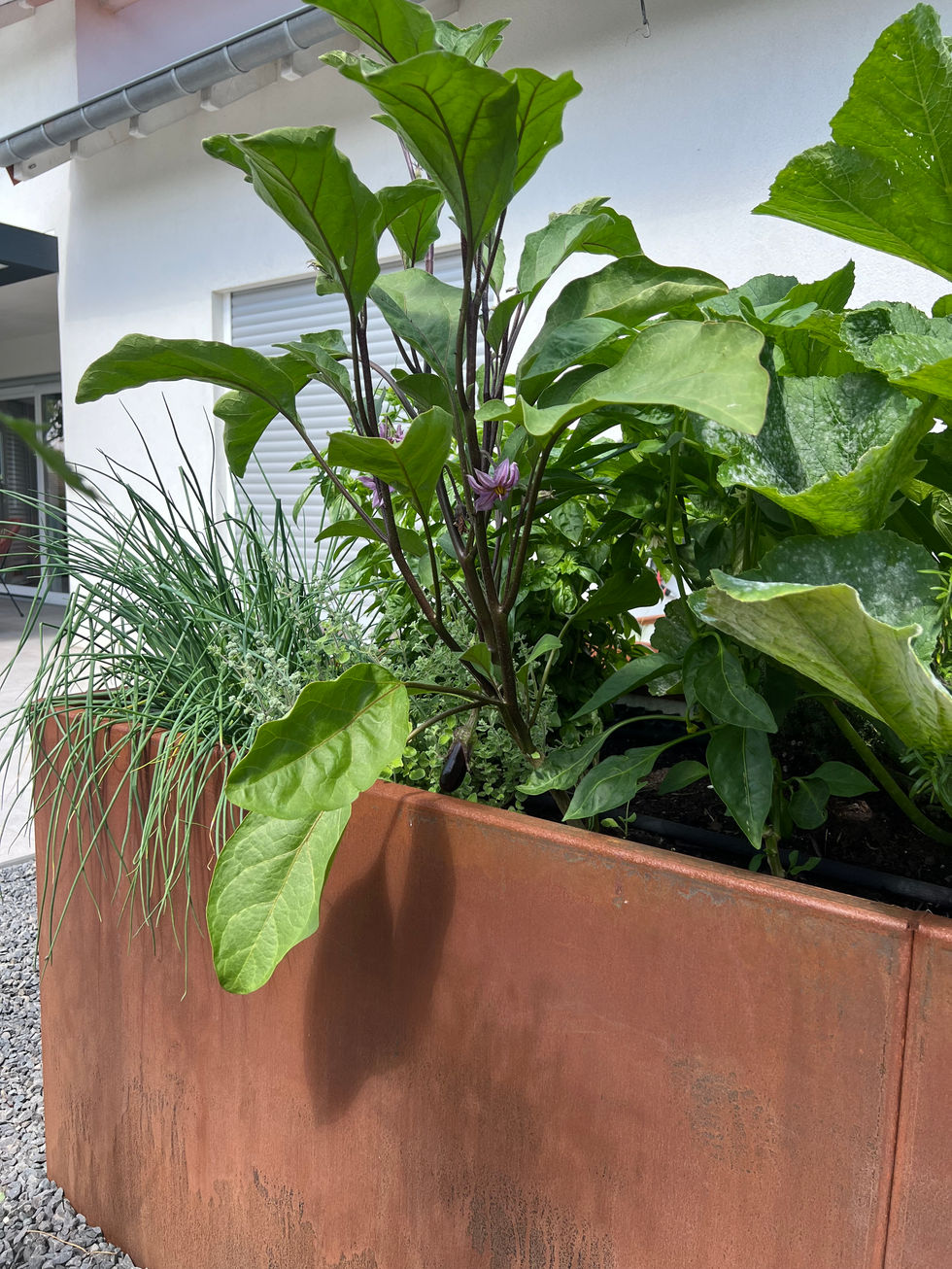 BAC POTAGER GARDEN STEEL
