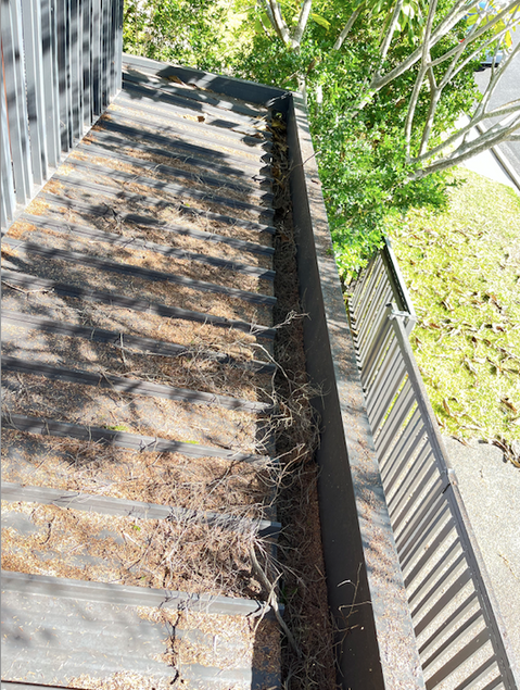 Gutter Cleaning Logan Queensland Australia