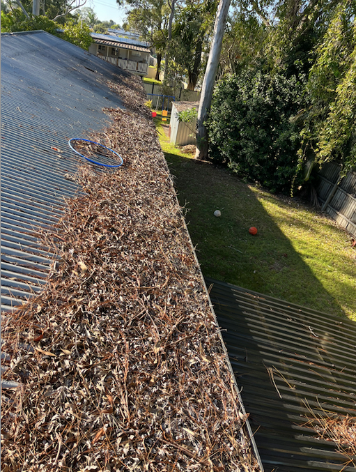 Gutter Cleaning Logan Queensland Australia