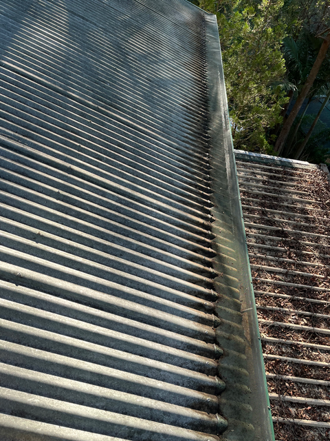 Gutter Clean Logan Queensland Australia.png