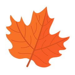 TOTAL (7).png