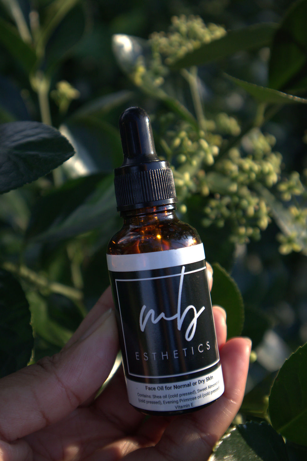 Face Oil for Normal to Dry Skin