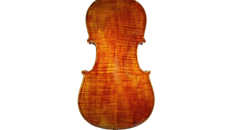 Restored Back