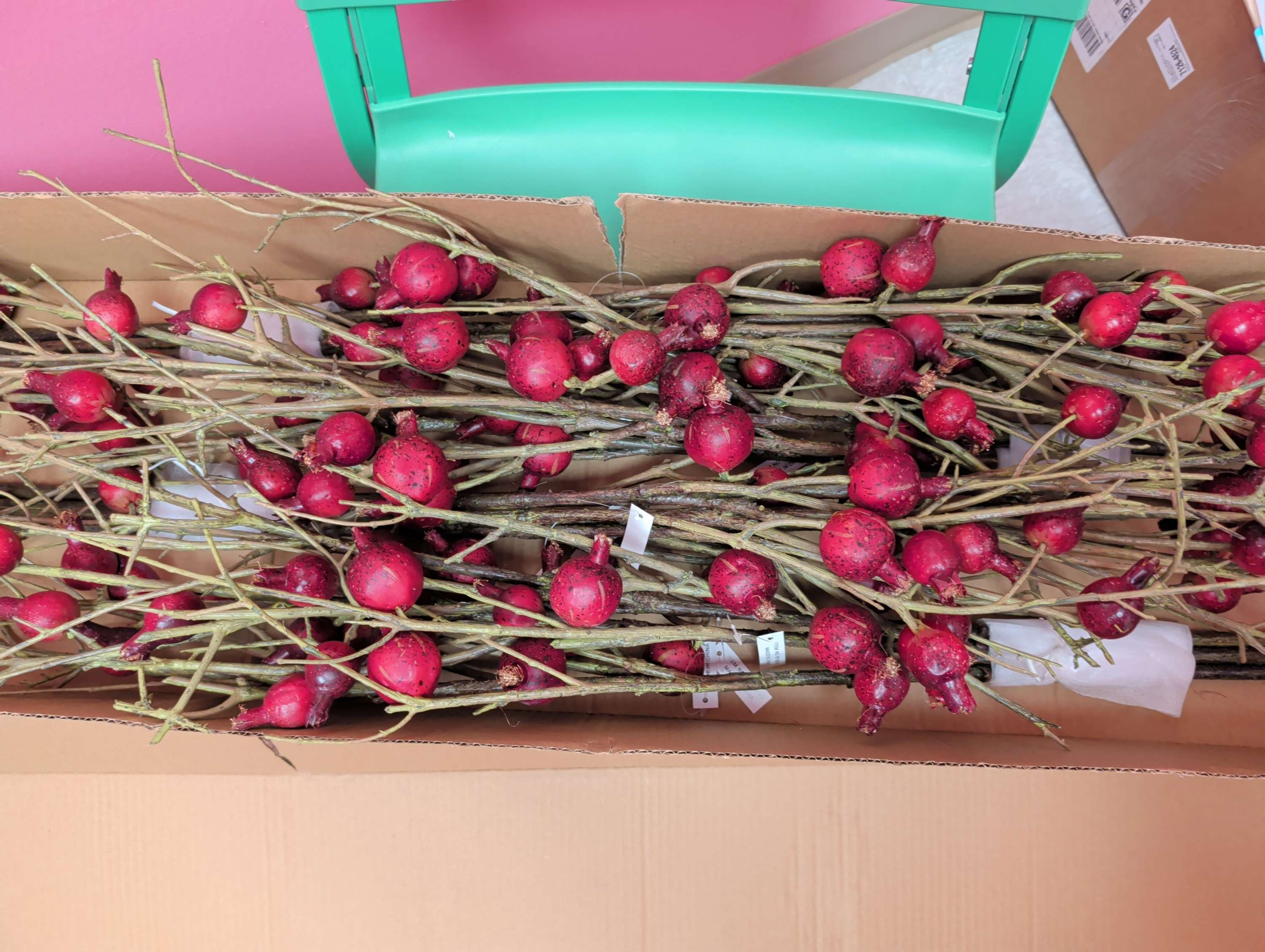 Pomegranate Branch 48"