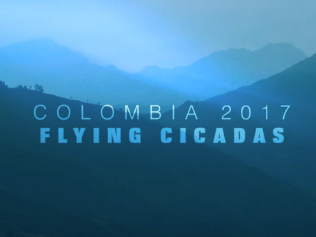 Colombia 2017 Trip