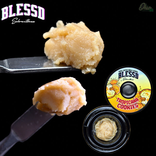 Close‑up macro of Tropicana Cookies solventless rosin from Blessd Solventless in Oklahoma, showing golden, terp‑rich rosin with vibrant texture.