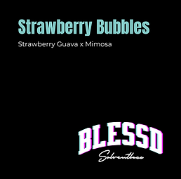 Strawberry Bubbles rosin by Blessd Solventless – strawberry soda and creamy sweet