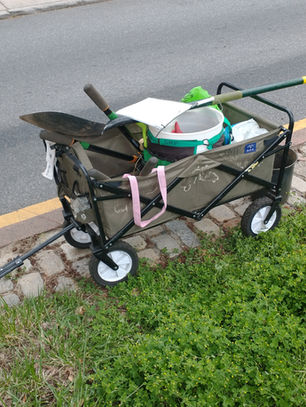 Action Photos: Spring Mall Clean Up