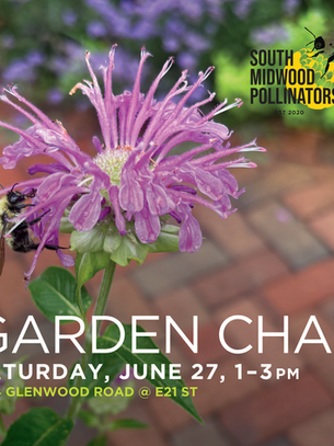 Let's Talk about Gardens, Pollinators, Best Practices, and What We Love About Summer. Join the South Midwood Pollinators on Saturday, June 27.