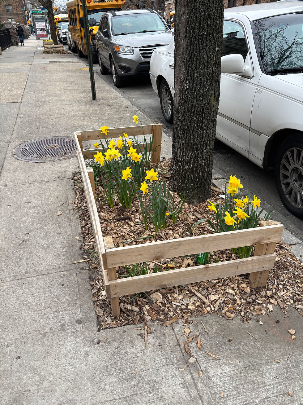 Foster Ave Greenway - Year Two