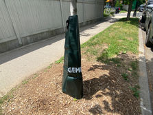 Tree watering bag installed on Farragut Rd.