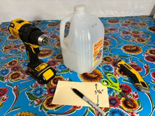 Milk Jug Seed Starting How to