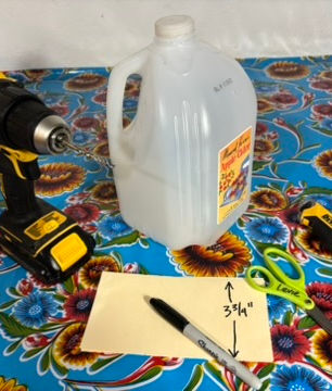 Milk Jug Seed Starting How to