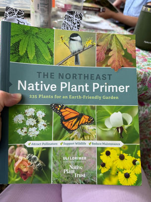 Gabbing About Gardens (among other things)