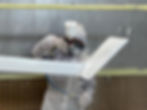 Composite_Mast_Paint