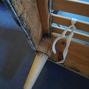 Punaises de Lit Desinsectisation