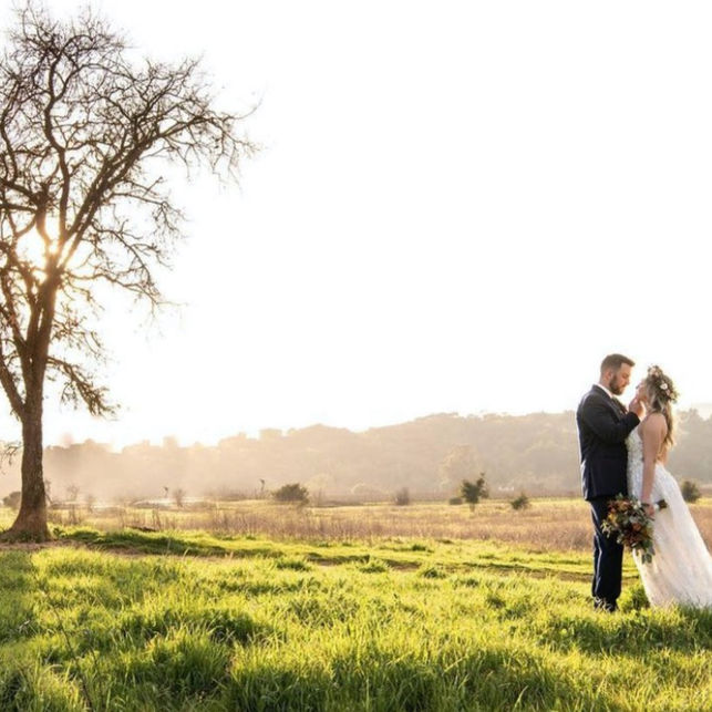 bride and groom in field with tree and mountains in background